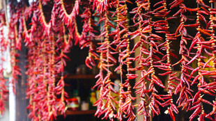 红辣椒串串挂起 喜庆诱人