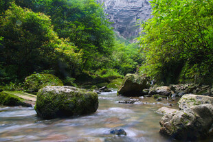 山间溪流 绿意盎然的景致