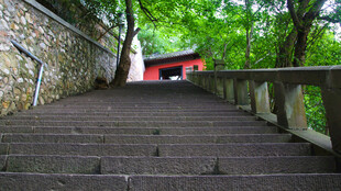 山林间的古朴石阶小道