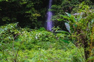山林间的清新瀑布景观