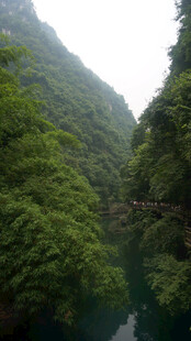 青山绿水间的幽美峡谷