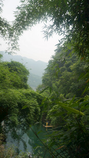 青山绿水间的静谧小船