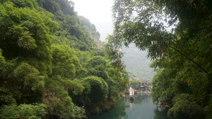 青山绿水间的静谧河道