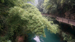 山间绿水悬桥美景