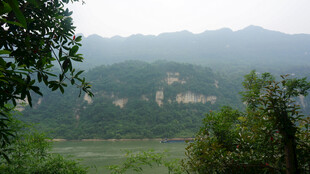 山间绿意盎然的自然景致