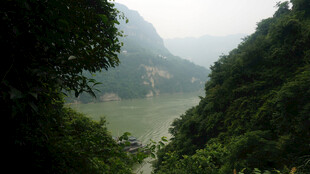 山间绿意盎然的秀丽江景