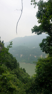 山间湖畔绿意盎然景色