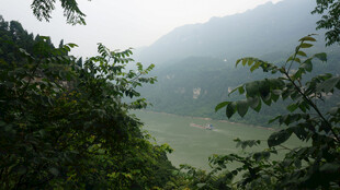 山间绿意盎然的自然景致