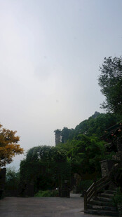 山间景致 绿树掩映的道路