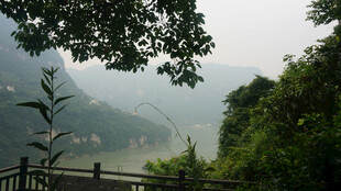 山间观景处的秀丽风光