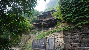 古朴山居隐于葱郁山林间
