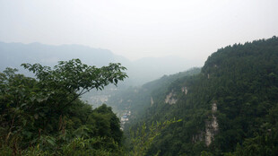 山间绿意浓景