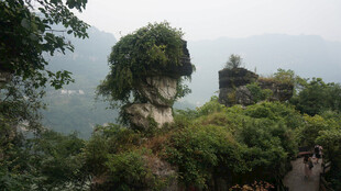 奇峰屹立于葱郁山林间
