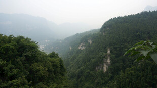 山峦叠翠的秀丽山林景色