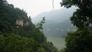 山间绿意环绕的秀丽湖景
