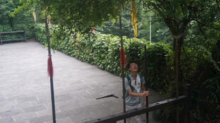 户外练功者与绿植场景