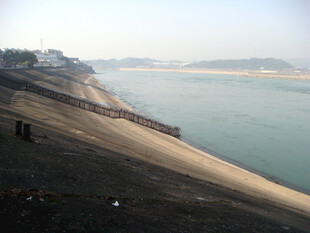 江边岸景