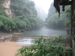 山间溪流旁的清幽景致