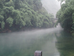 雾绕河畔绿意浓