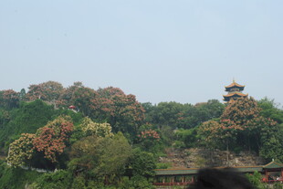 山林间的古建筑景观