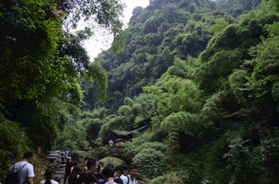山林间的徒步人群