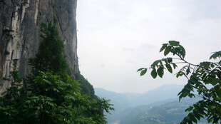 恩施峭壁绿植间的自然景致