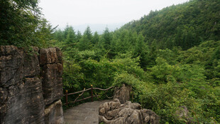 恩施山林间的嶙峋怪石与绿意