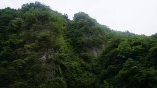 恩施翠绿山峦景色