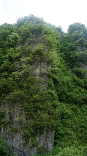 恩施翠绿覆盖的陡峭山崖