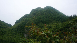 恩施翠绿山峦景色秀丽