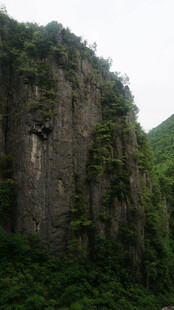 恩施陡峭山壁上的繁茂植被