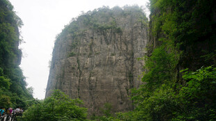 恩施陡峭山壁旁的葱郁植被