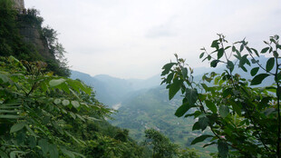 恩施山间绿意盎然的自然景致