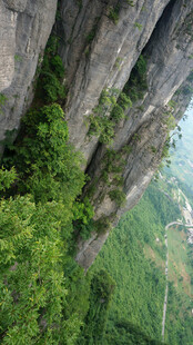 恩施悬崖峭壁上的翠绿植被