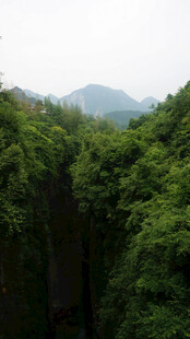 恩施山间繁茂植被与远处山峦