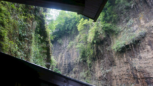 恩施峡谷峭壁间的自然景致