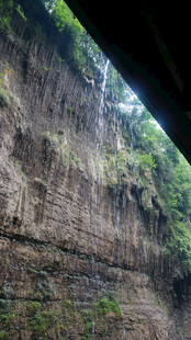 恩施陡峭岩壁上的绿意