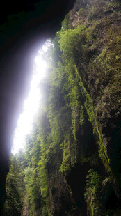恩施阳光洒落绿意盎然的峡谷
