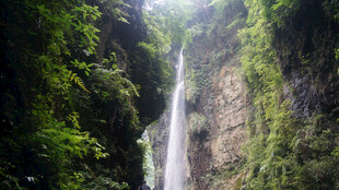 恩施峡谷间的壮丽瀑布景观