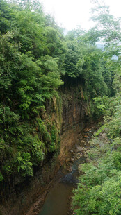 恩施山间繁茂植被覆盖的溪谷