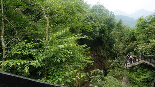 恩施山间绿意中的古朴桥梁