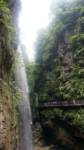 恩施山间栈道穿行于葱郁峡谷