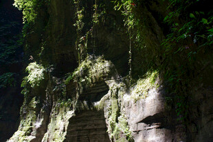 恩施山间绿荫下的隐秘石阶