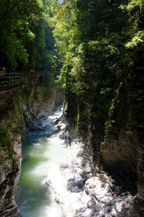 恩施山间溪流穿林而过