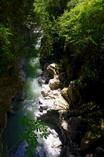 恩施山间溪流穿林而过