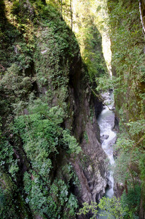 恩施山间溪流穿林而过