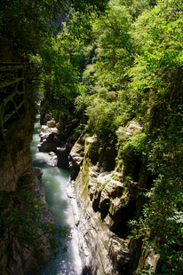 恩施山间溪流穿林而过