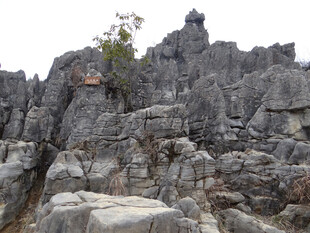 恩施嶙峋怪石间的顽强小树