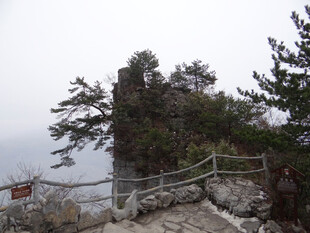 恩施山间栈道旁的葱郁树木