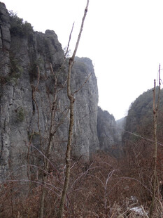 恩施险峻山壁与枯木景观